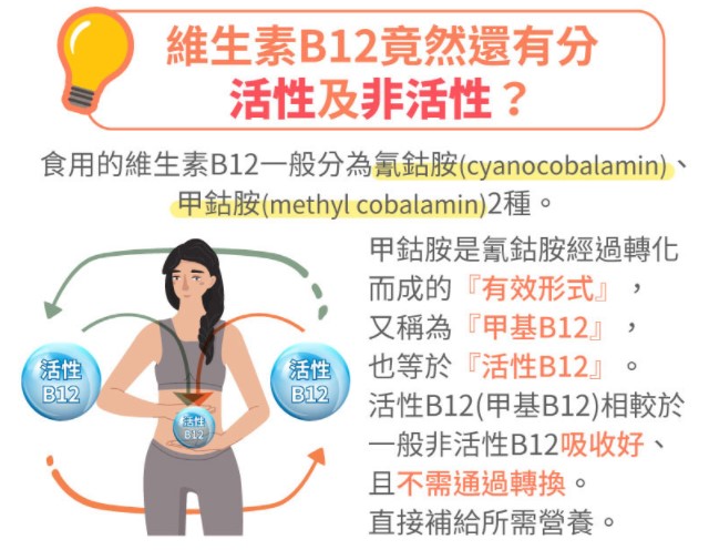 維生素B12竟然還有分活性及非活性？該怎麼選？