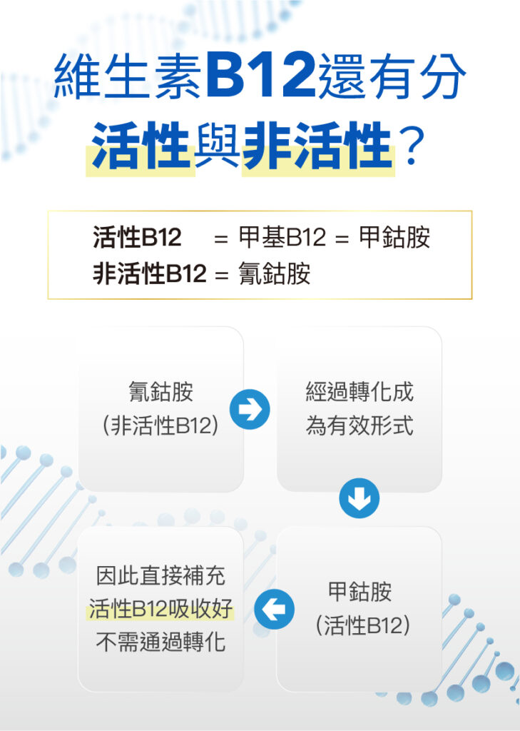 維生素B12還有分活性與非活性？-陳諦德國藥劑師