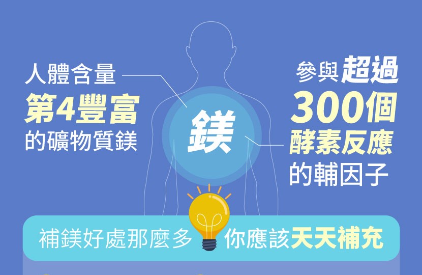 鎂參與超過300種酵素的組成成分，是粒線體能量轉換的重造樞紐