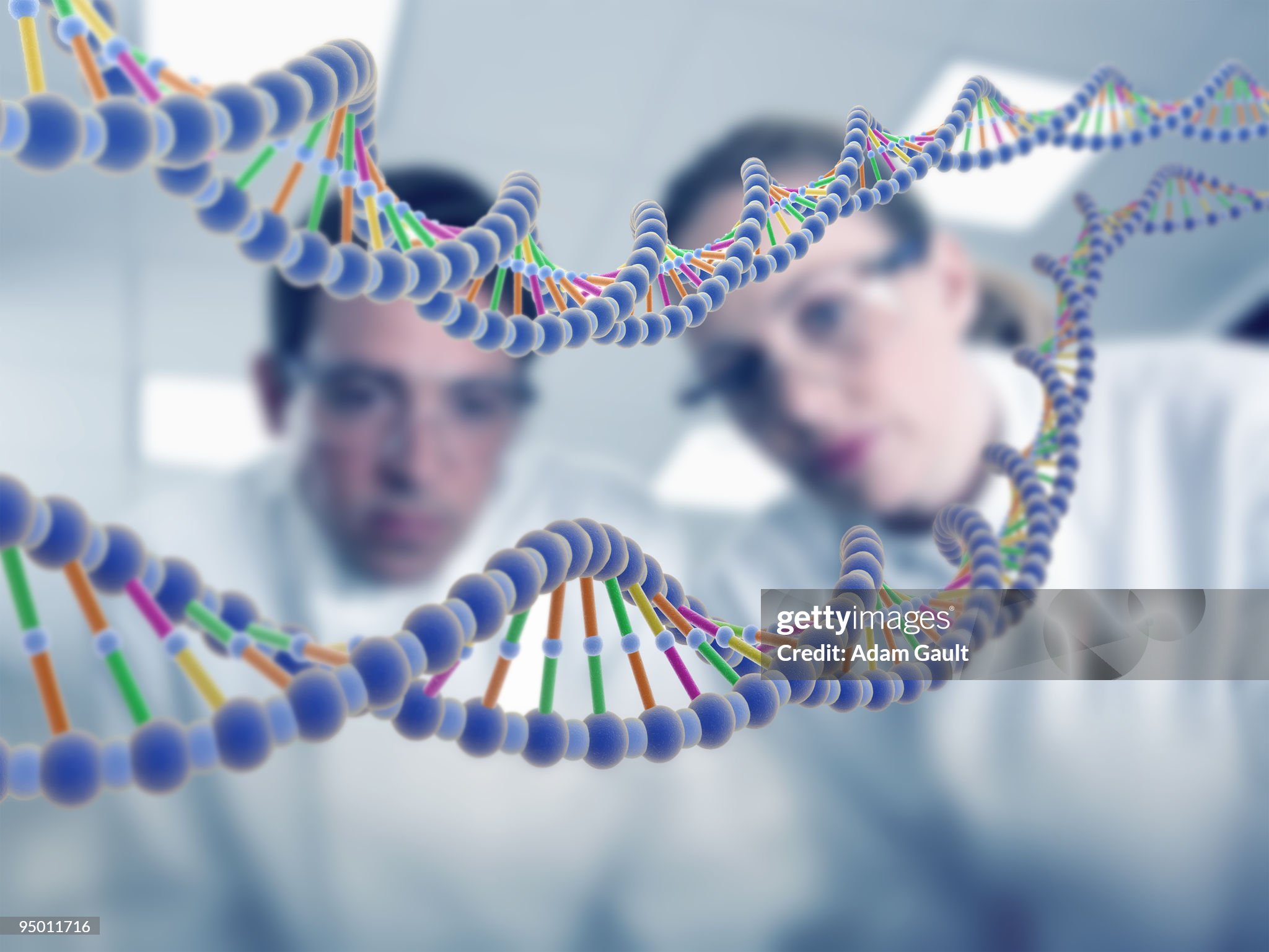 硒可以幫助人體對抗氧化壓力的傷害，減少基因受損